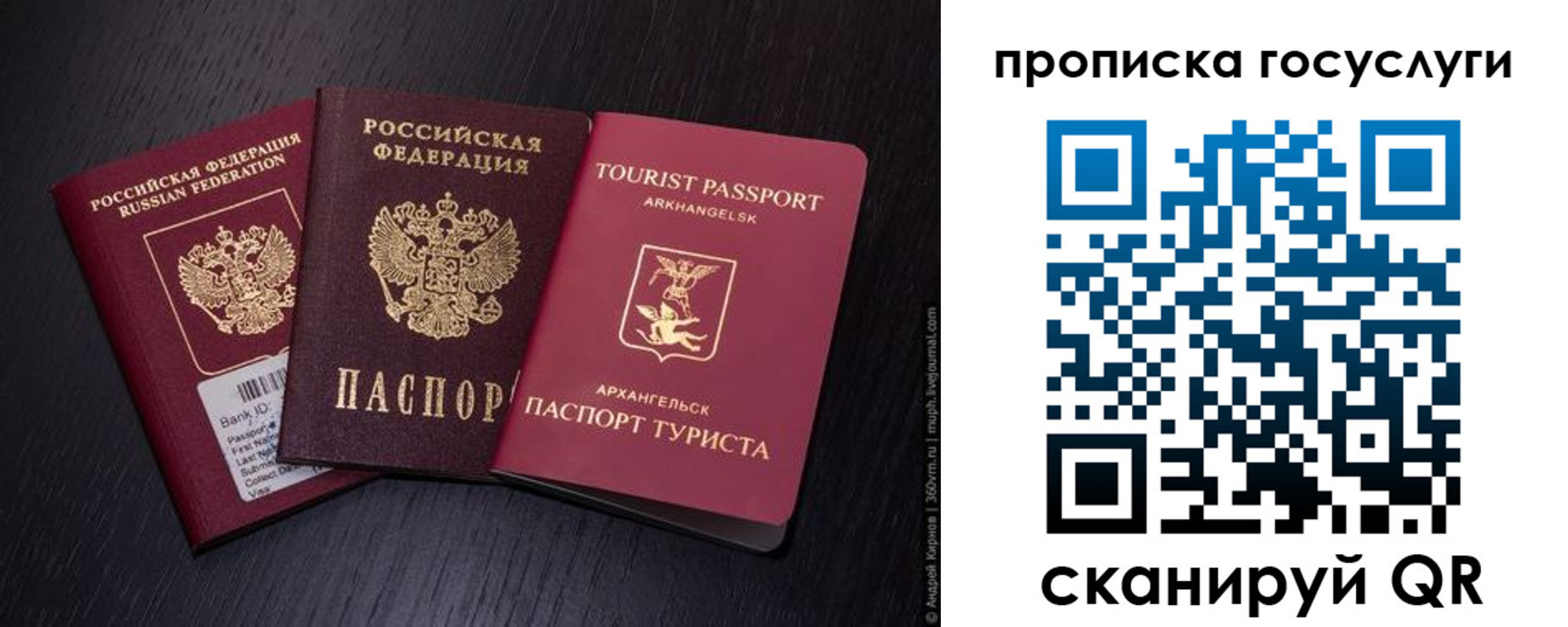 прописка 2025 в Алексине